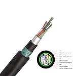 Dual Armoured GYTA53 Direct Burial Single Mode Fiber Optic Cable 36 Core