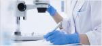 Disposable Nitrile Latex rubber gloves /nitrile disposable gloves disposable