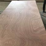 Sapele Core FSC 18mm 6mm 25mm Sapele Faced Plywood