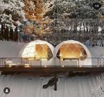 8m Geodesic Dome House Tent 4 Season Glamping Dome For Living