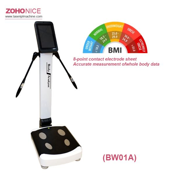 Professional body composition analyzer machine with foldable design