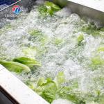 Tengsheng Fruit And Vegetable Washing Machine Pests Eliminating Saint Dragon