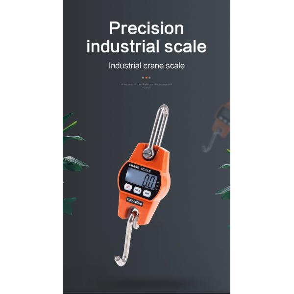 LED Display LCD Electronic Weighing Scale Heavy Duty 300kg Hanging Crane Scales with OEM and ODM Customization Support