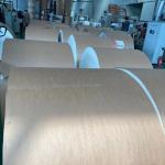 QS W 1200mm Waterproof Coated Paper Tea Cup Raw Material 350g