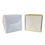 Goods in Stock Wholesale Custom Logo Printed Store Take Away Food Packaging