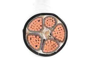 Wholesale 3.5KV Five Core Stranded XLPE Insulated Power Cable from china suppliers