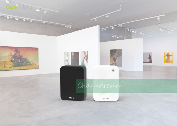 5W Aromatherapy Essential Oil Diffuser Smart Timer Control For Office