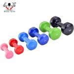 Women Power Training Fitness Equipment Dumbbells Customized Color