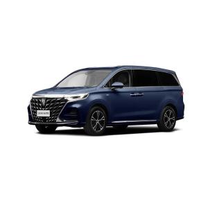 Wholesale Roewe IMAX 8 MPV Limousine Electric Car New Energy Vehicles 5 Door 7 Seater from china suppliers