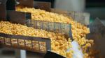 SS Material Snack Food Extruder Machine Auto Extrusion Snacks Food Machinery
