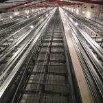 H Type 2.5mm Open House Battery Cage System 450cm2/Bird Area