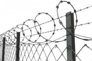 Wholesale Single Coil Razor Barbed Wire Hot Dipped Galvanized Barbed Fence from china suppliers