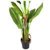 Artificial Banana Tree 6ft Tall 22 Large Leaves Triple Stalk Faux Banana Silk