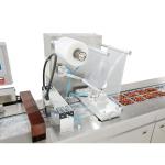 Thermoforming Vacuum Packing Machine Multifunctional Packaging Machine