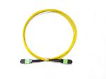 Polarity B 12 Fiber Optic MTP MPO APC Female to Male Patch Cord Truck Cable
