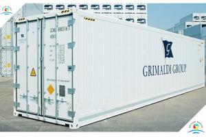 Wholesale Insulated Carrier Refrigeration Standard Shipping Container 40ft Reefer Container from china suppliers