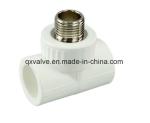 PPR Fittings Series Copper Female Couping Blue Green White Gray with Customizati