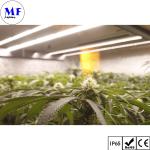 LED Plant Grow Light 5years Warranty IP65 Waterproof 250W 500W 750W 1000W Full