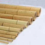 Wholesale Price Natural Moss Plant Pole Moss Stick For Climbing Plants Moss