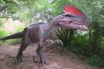 KAWAH Outdoor Simulation Realistic Animatronic Dinosaur Dilophosaurus