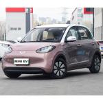 powerful mini eV cars eco friendly adult electric vehicle new energy