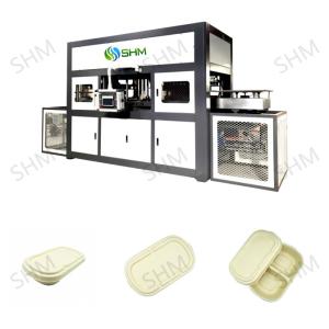 Wholesale Biodegradable Pulp Molding Tableware Machine Disposable Dish Line from china suppliers