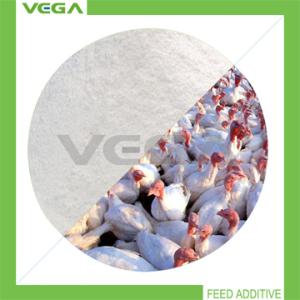 Wholesale New Product Active Three for Poultry from china suppliers