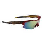 Fashionable Sport Goggle Glasses , Cycling Sunglasses High Strength Impact