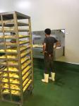 2800kg/H 3500kg/H Blast Tunnel Freezer Individual Quick Freezing Machine Ln2 Iqf