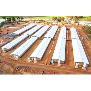 Wholesale Q345 Q235 Light Steel Structure For Goat Farming Shed And Cow Cattle Building from china suppliers