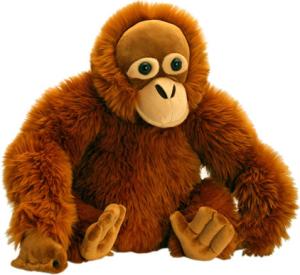Wholesale 20cm Cute Wild Monkey Stuffed Animal Toys Eco Friendly Personalized from china suppliers