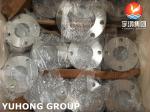 JIS B2220 SS316L 10K Stainless Steel Forged SOP-FF Plate Flanges