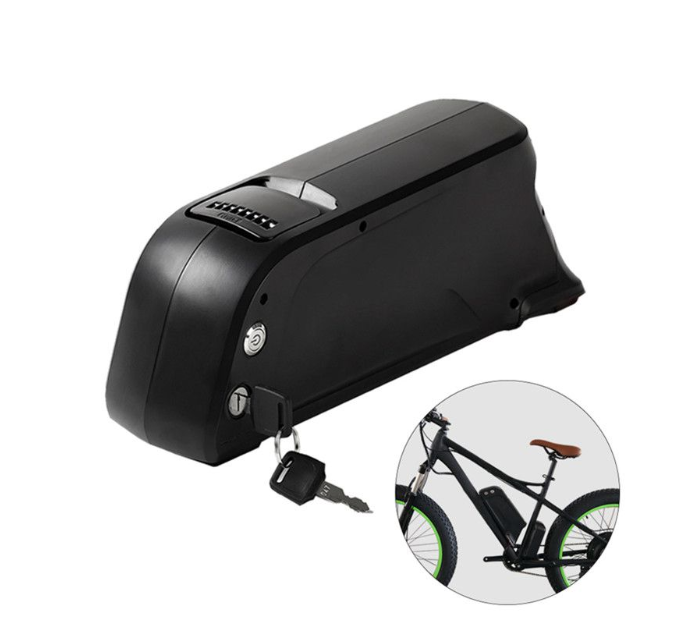 Dolphin Lithium Ion 48v 15ah Ebike Battery 18650 cell 36v 20ah