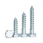 Hex Head Wood Screw Din571 Lag Bolt Coach Screw for Steel/SUS304 within