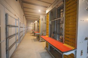 Wholesale Hot Dipped Galvanzied 3 Tier Animal Cage , Parent Breeder Mesh Pallet Cages from china suppliers