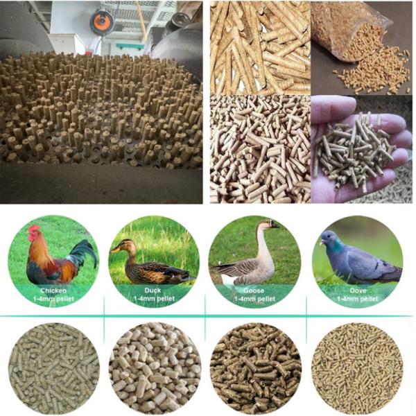 Customized Poultry Feed Pellet Dies For Buhler 660/228 With High Productivity