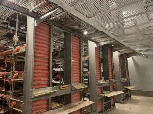 Wholesale Galvanized Poultry Farm Battery Egg Layer Chicken Cage from china suppliers