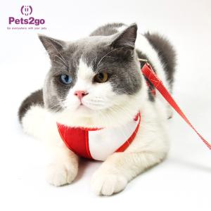 Wholesale Pets2Go Mesh Lining 100g Retractable Pet Leash from china suppliers