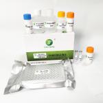 96 Wells/Kit Mycoplasma Gallisepticum MG Avian Influenza Rapid Test Kit For