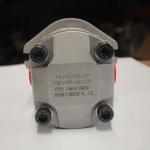 Restaurant High Pressure Pump Gear Pumps Hydraulic Oil Pumps for Road Roller