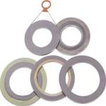 90 HRB Hardness Helical-Wound Gasket For High Pressure Environments