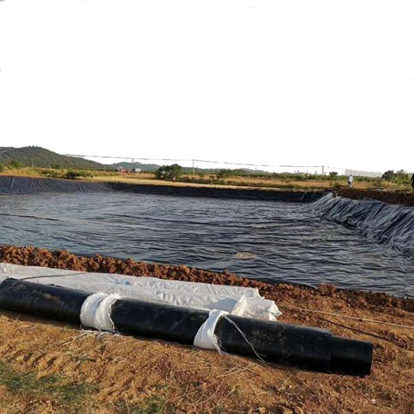 High Surface Hardness HDPE Black Fish Pond Liner Plastic Geomembrane for Fish