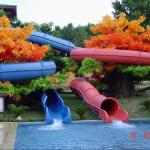 2m Height Fiberglass Kids' Water Slides , Parent - Child Water Park Equipment