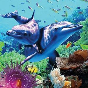 Wholesale PLASTIC LENTICULAR wholesale custom design flip effect printed animal 3d lenticular sheet pictures from china suppliers