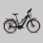 26 Inch Road E Bike 48V 31Ah Lithium Battery 250W Electric Bicycle For Ladies