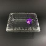 Food Grade Plastic Packaging Boxes Solution Disposable