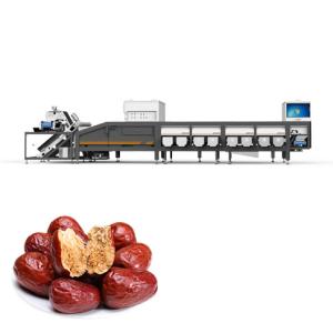 6 Channel Dates Industrial Sorting Machine 380V Free Maintenance