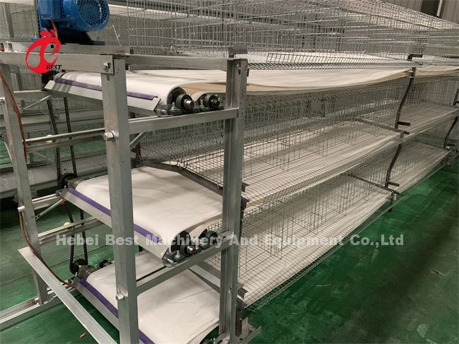 Modern H Type Poultry Automatic Chicken Cage Equipment 20 Years Lifespan Ada