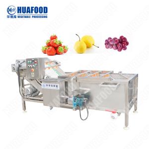 China Automatic Leaf Green Cleaning Equipment Continuous Salad Washer Moringa Leaf Washing Machine With Shaker on sale