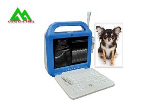 Wholesale Portable Full Digital Veterinary Ultrasound Scanner For Cattle Caw Dog Animal from china suppliers